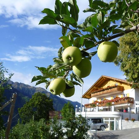 Hotel Meinhardt Schenna Dış mekan fotoğraf