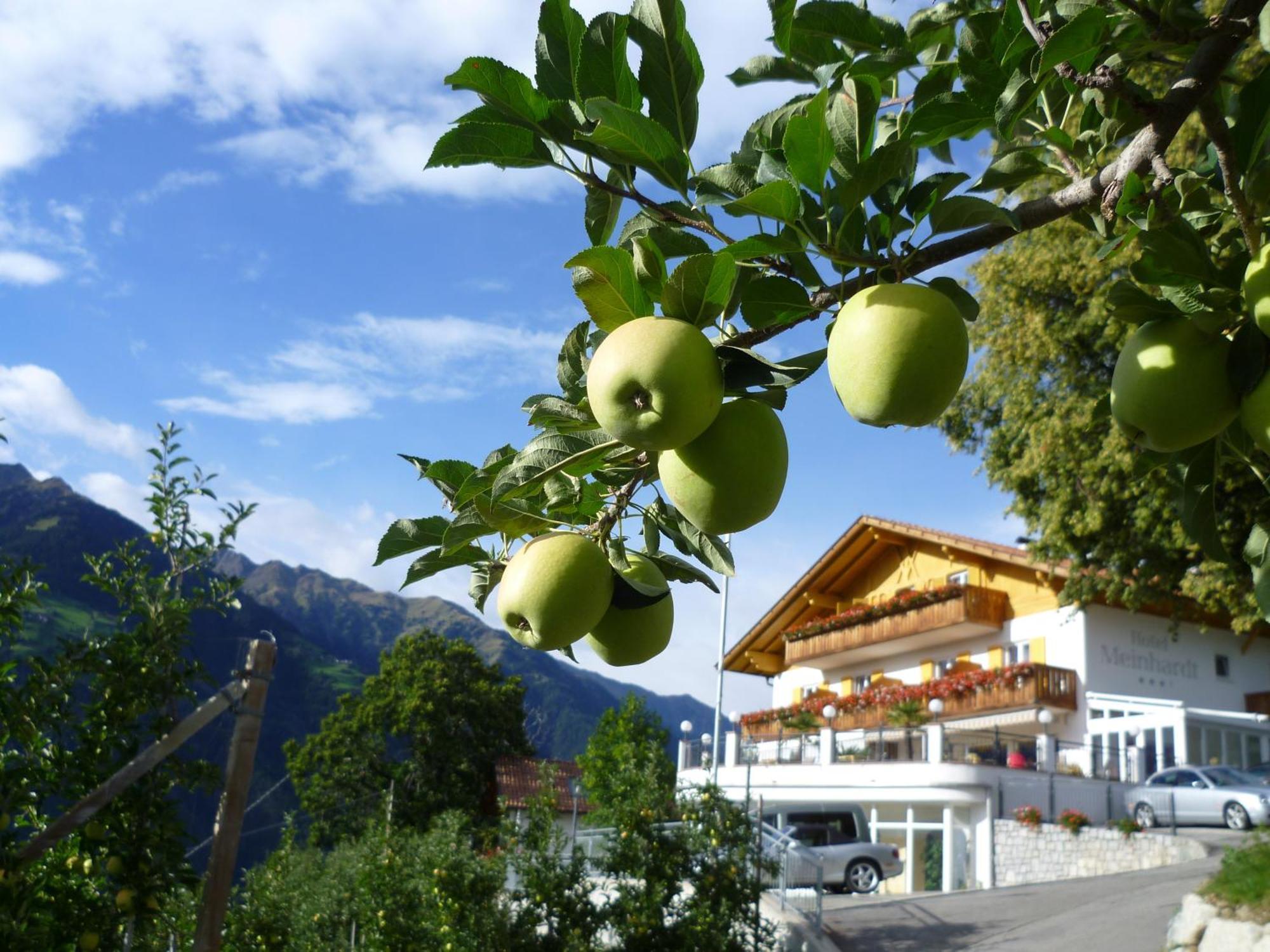 Hotel Meinhardt Schenna Dış mekan fotoğraf